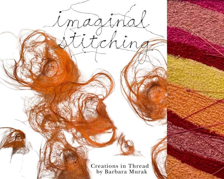 Imaginal Stitching