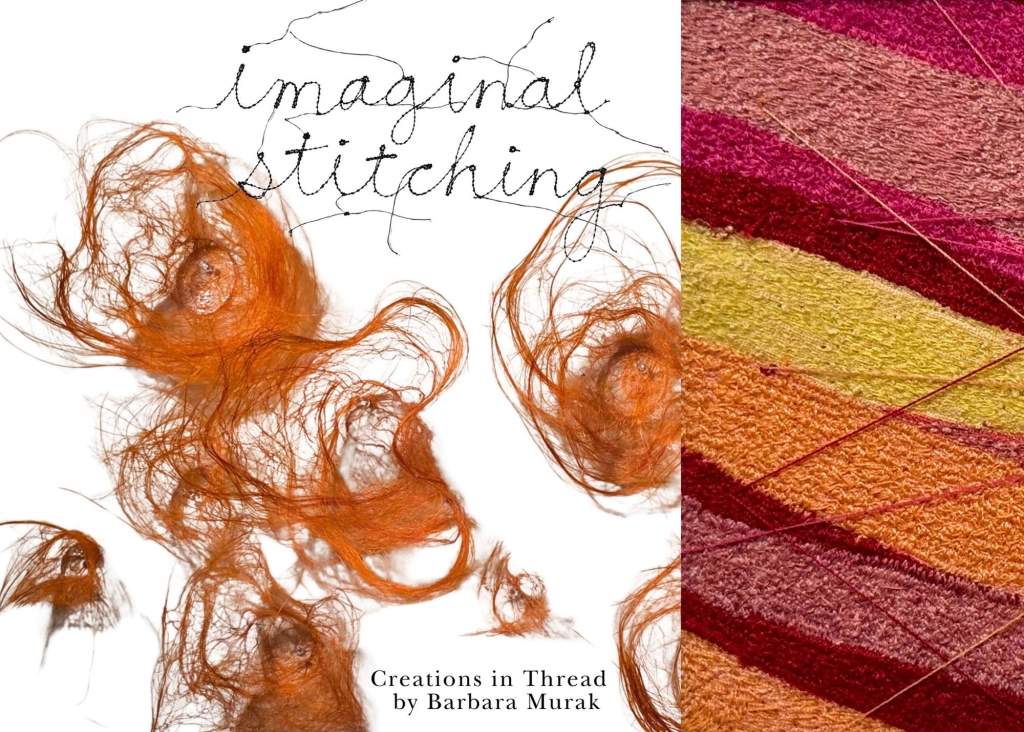 Imaginal Stitching
